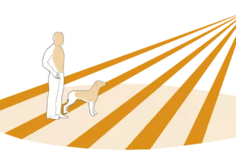 Graphic representation of the detection zones of a PIR sensor and how it detects humans and animals