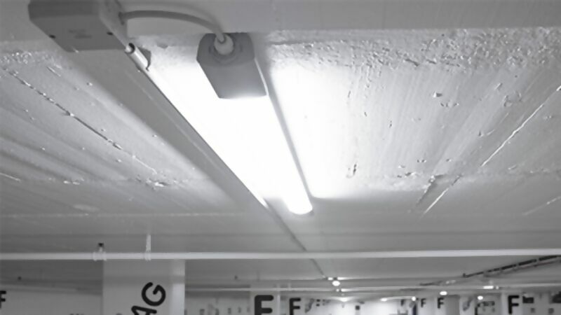 grp-gruenes-licht-bild-text-5100.jpg