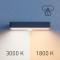 STEINEL XSolar SOL-O S Amber Light anthrazit